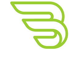 BAER Logo