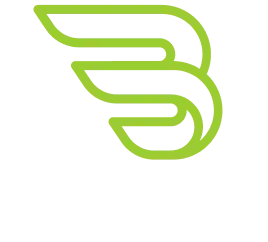 BAER Logo